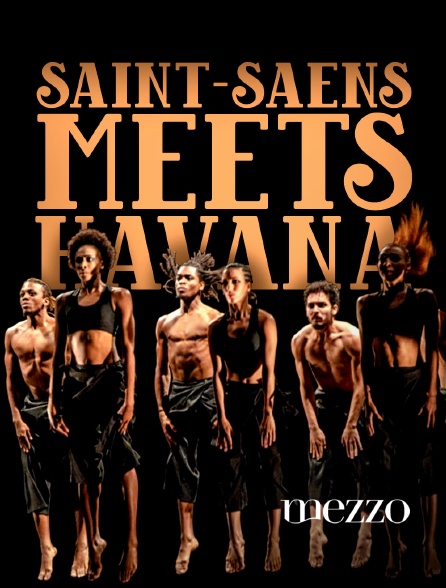 Mezzo - Saint-Saëns meets Havana