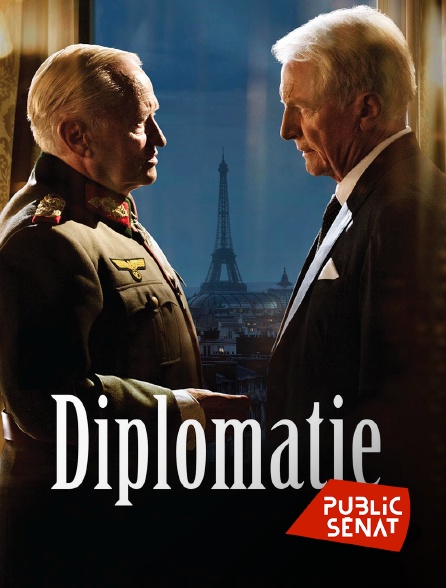 Public Sénat - Diplomatie