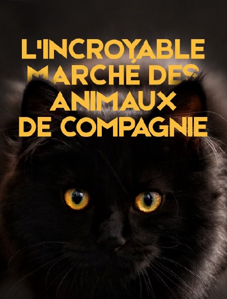 L'incroyable marché des animaux de compagnie