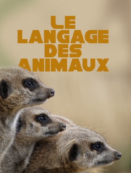 Le langage des animaux