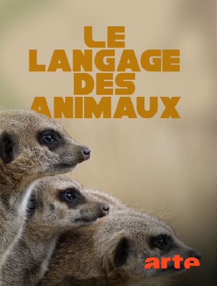 Arte - Le langage des animaux