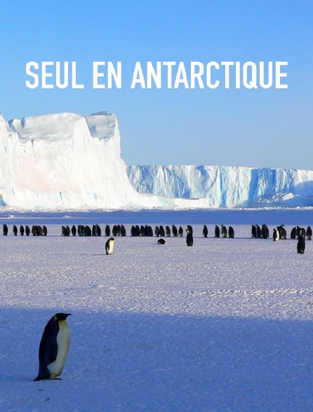 Seul en Antarctique
