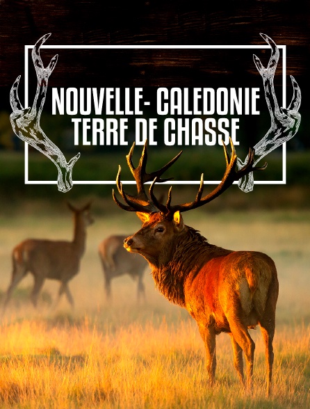 Nouvelle-Calédonie terre de chasse