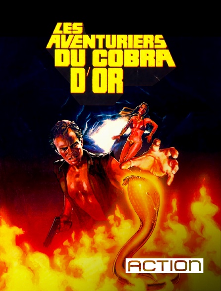 ACTION - Les aventuriers du cobra d'or