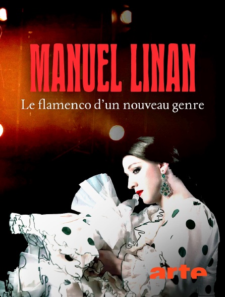 Arte - Un flamenco d'un nouveau genre : Le danseur Manuel Liñán