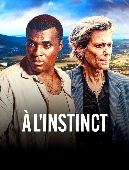 france.tv - A l'instinct