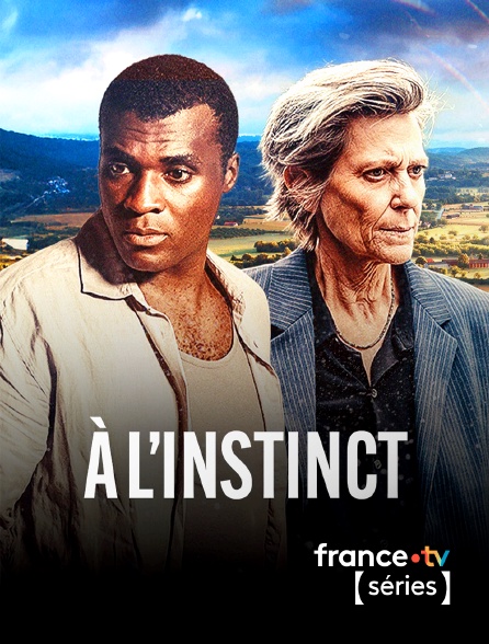 France TV Séries - A l'instinct