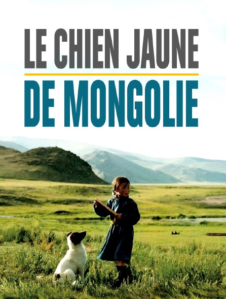 Le Chien jaune de Mongolie