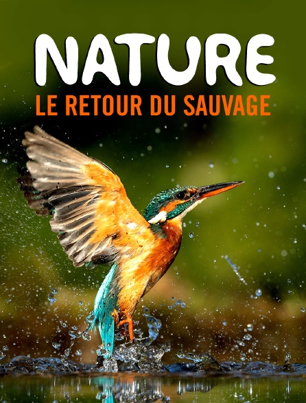 Nature, le retour du sauvage