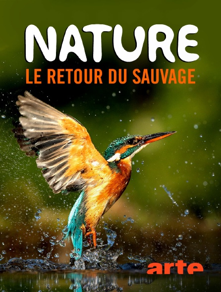 Arte - Nature, le retour du sauvage