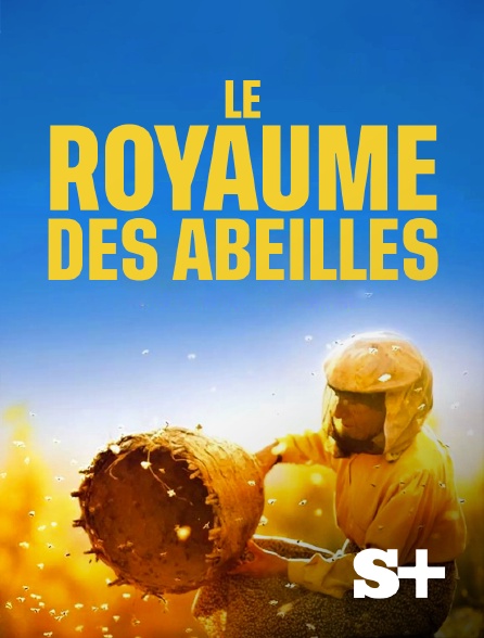 Society+ - Honeyland