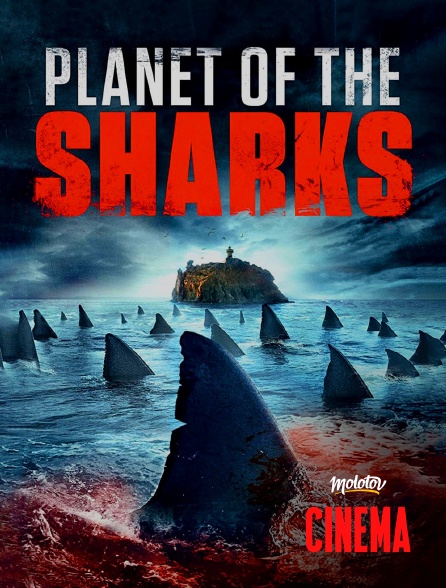 Molotov Channels Cinéma - Planet of the sharks
