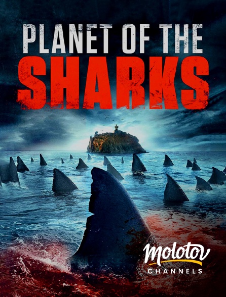 Molotov channels - Planet of the sharks