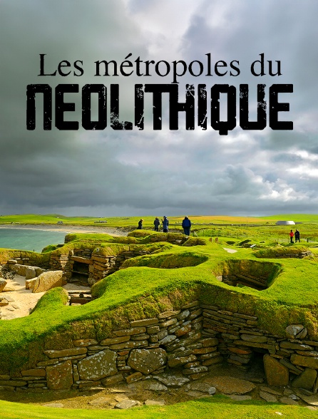 Les métropoles du Néolithique