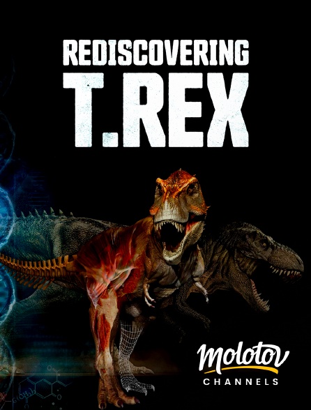 Molotov channels - Rediscovering T-Rex