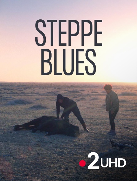France 2 UHD - Steppe blues