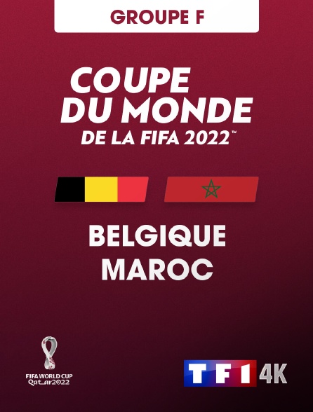 TF1 4K - Football - Coupe du monde 2022 : Belgique / Maroc