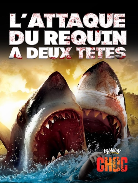 Molotov Channels CHOC - L'attaque du requin à deux têtes
