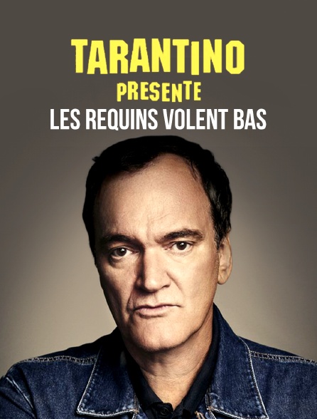 Tarantino présente : Les requins volent bas