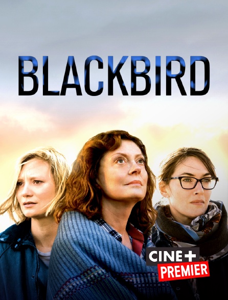 Ciné+ Premier - Blackbird