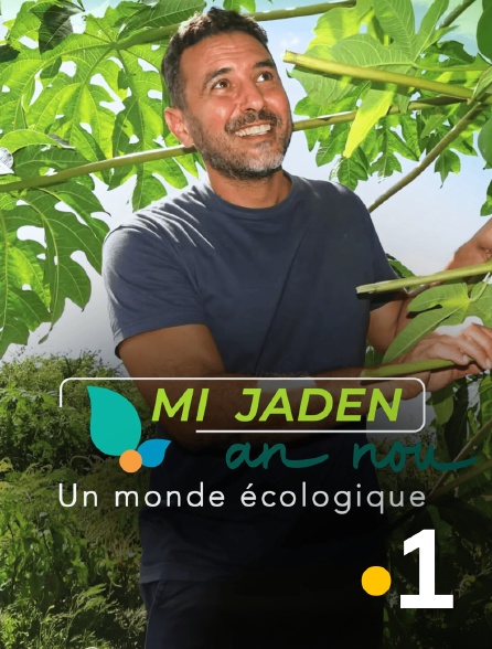 La 1ère Guadeloupe - Mi jaden an nou