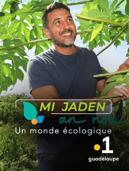 La 1ère Guadeloupe - Mi jaden an nou
