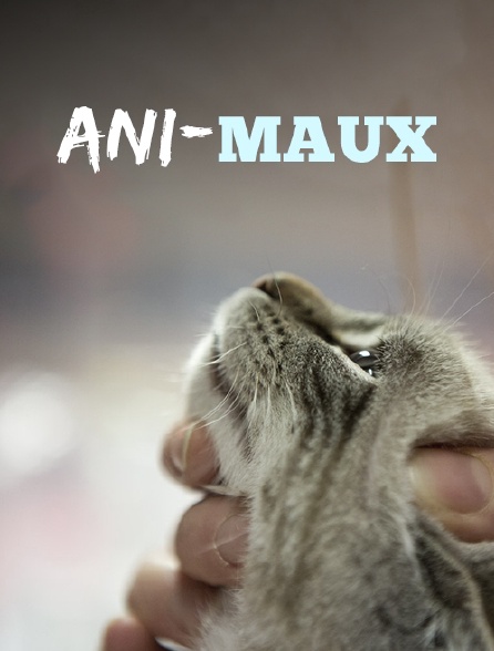 Ani-maux