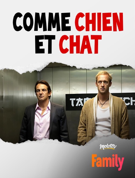 Molotov Channels Family - Comme chien et chat