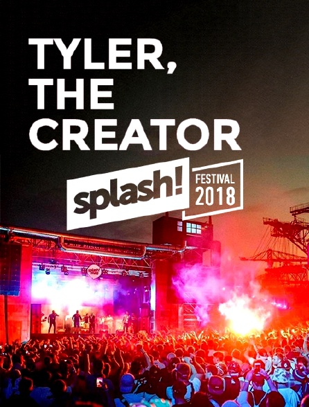 Tyler, the Creator au Splash! Festival 2018