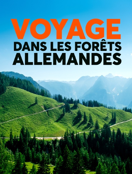 Voyage dans les forêts allemandes