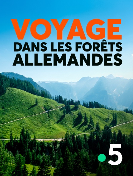 France 5 - Voyage dans les forêts allemandes