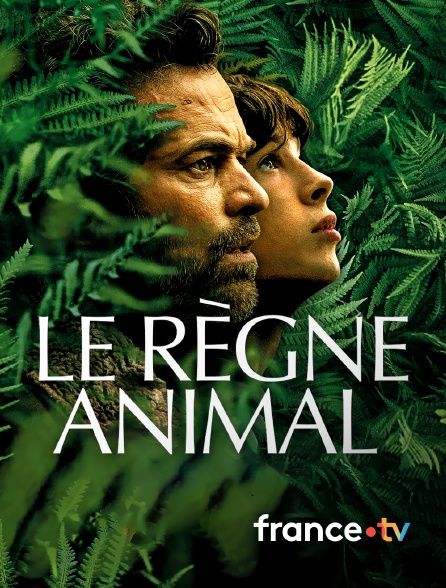 france.tv - Le Règne animal