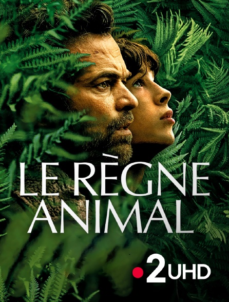 France 2 UHD - Le Règne animal