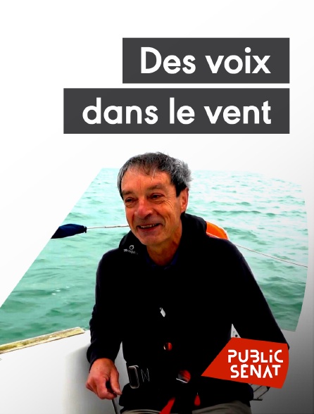 Public Sénat - Des voix dans le vent