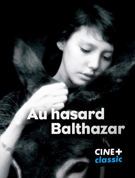 CINE+ Classic - Au hasard Balthazar