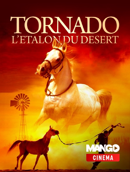MANGO Cinéma - Tornado, l'étalon du désert