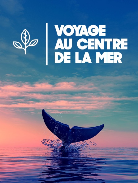 Voyage au centre de la mer