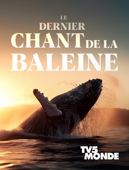 TV5MONDE - Le dernier chant de la baleine