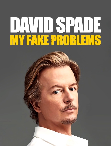 David Spade - My Fake Problems