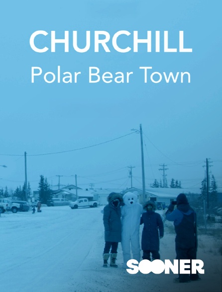 Sooner - Churchill, polar bear town