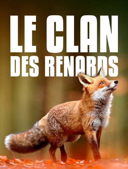 Le clan des renards