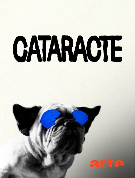 Arte - Cataracte