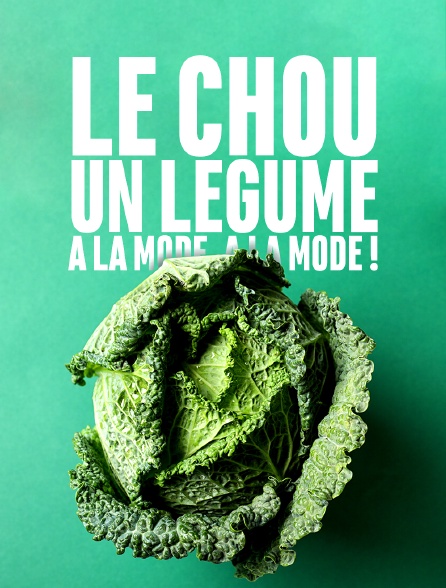 Le chou, un légume à la mode, à la mode !