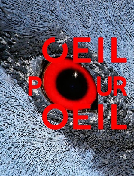 Oeil pour oeil
