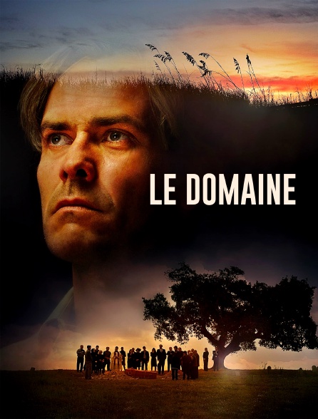 Le domaine