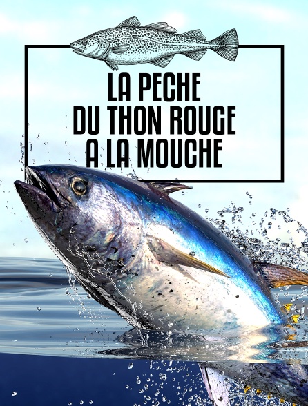 La pêche du thon rouge à la mouche