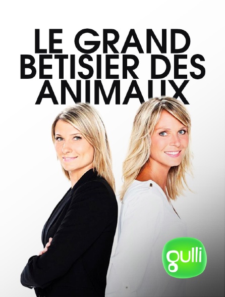 Gulli - Le grand bêtisier des animaux