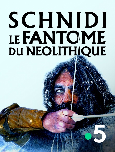 France 5 - Schnidi, le fantôme du néolithique