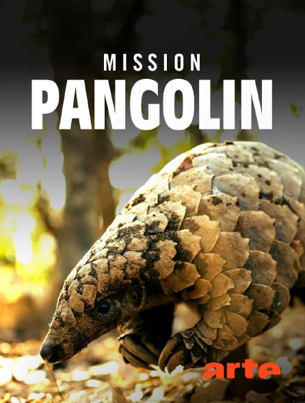 Arte - Mission pangolin : Retour à la vie sauvage en replay