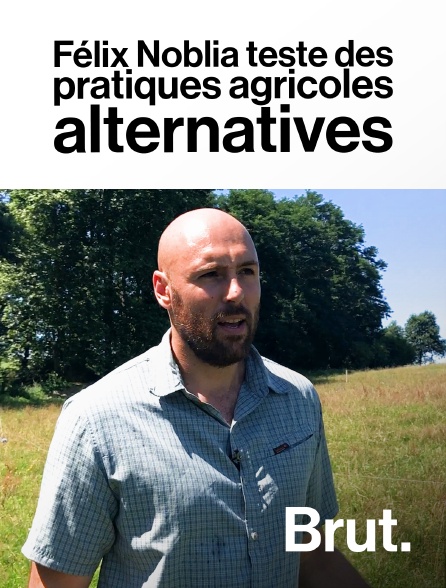 Brut - Félix Noblia teste des pratiques agricoles alternatives